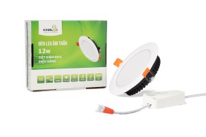 Đèn Downlight âm trần DL-12SS-T140-DM